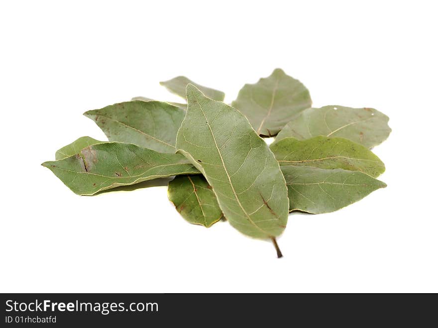 Laurel Leaves