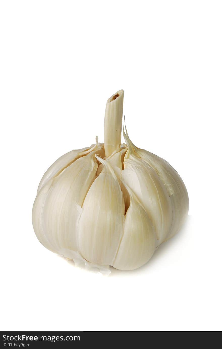 Garlic