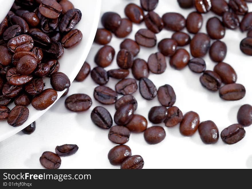 Fresh Coffee Bean Series 03