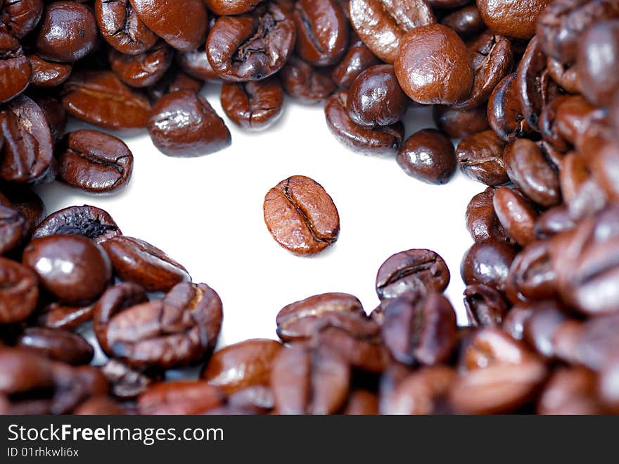 Fresh Coffee Bean Series 05