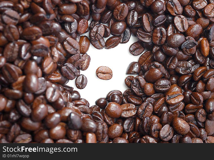 Fresh Coffee Bean Series 05