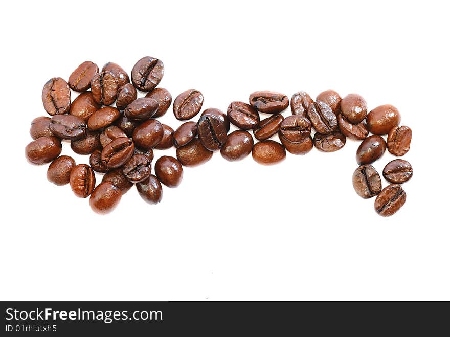 Fresh Coffee Bean Series 03