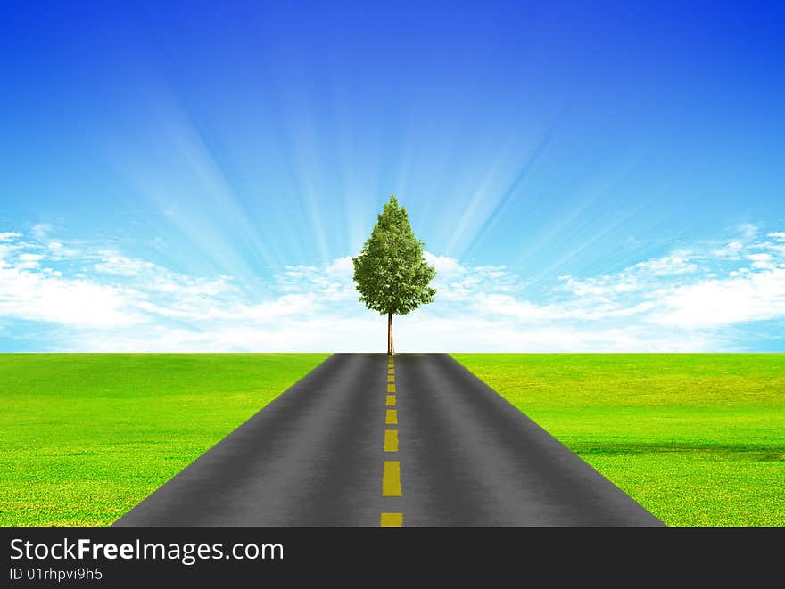 Road with yellow dividing stripon background of green grass and blue sky. The tree is on the road.