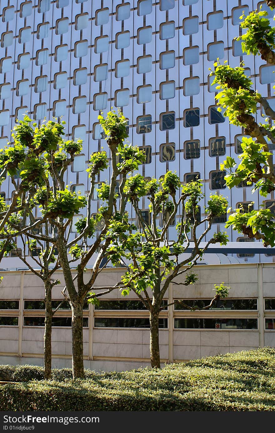 La Defense, Trees