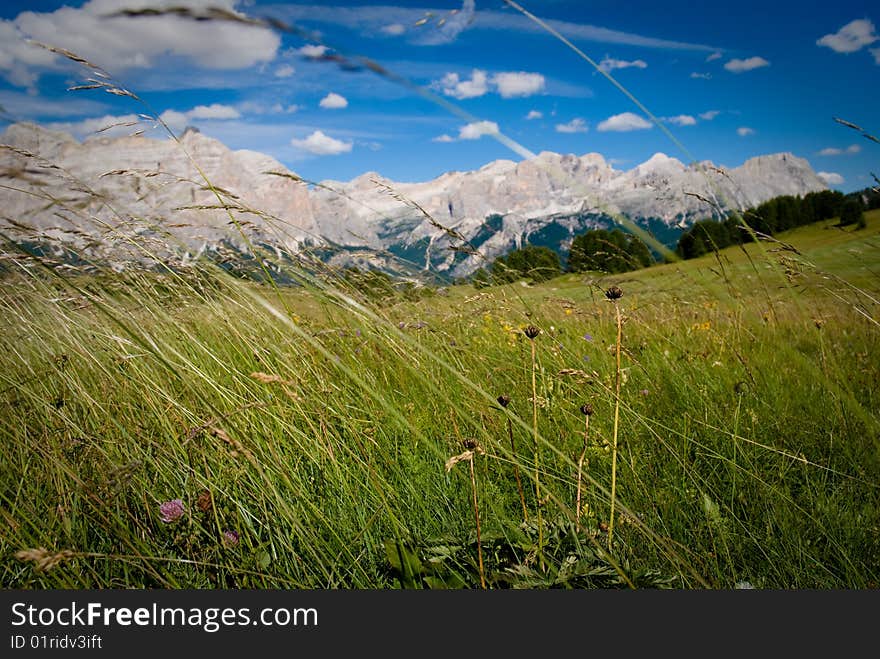 Alps , South Of Tyrol, Italy