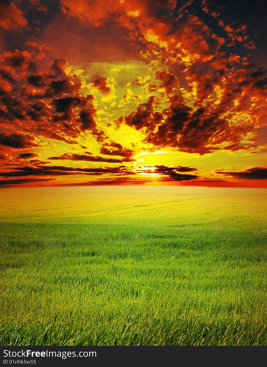 Red sunset over green field