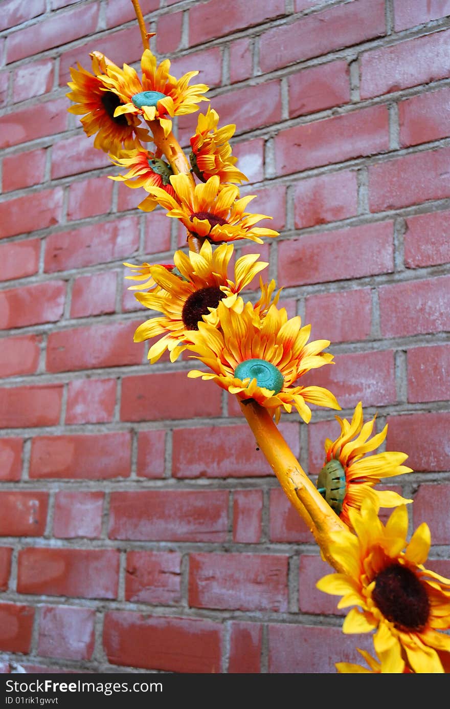 A shot of yellow artificial flower against a red brick wall. A shot of yellow artificial flower against a red brick wall