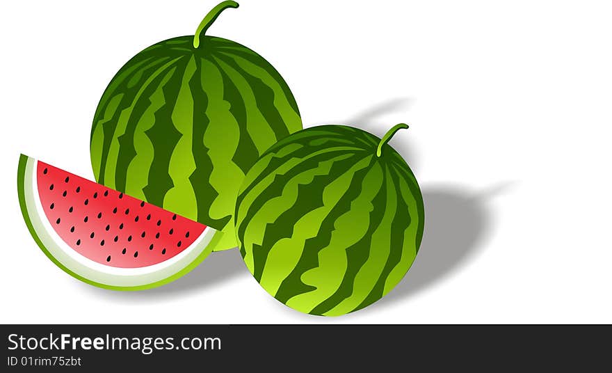 Vector illustration of fresh water melon