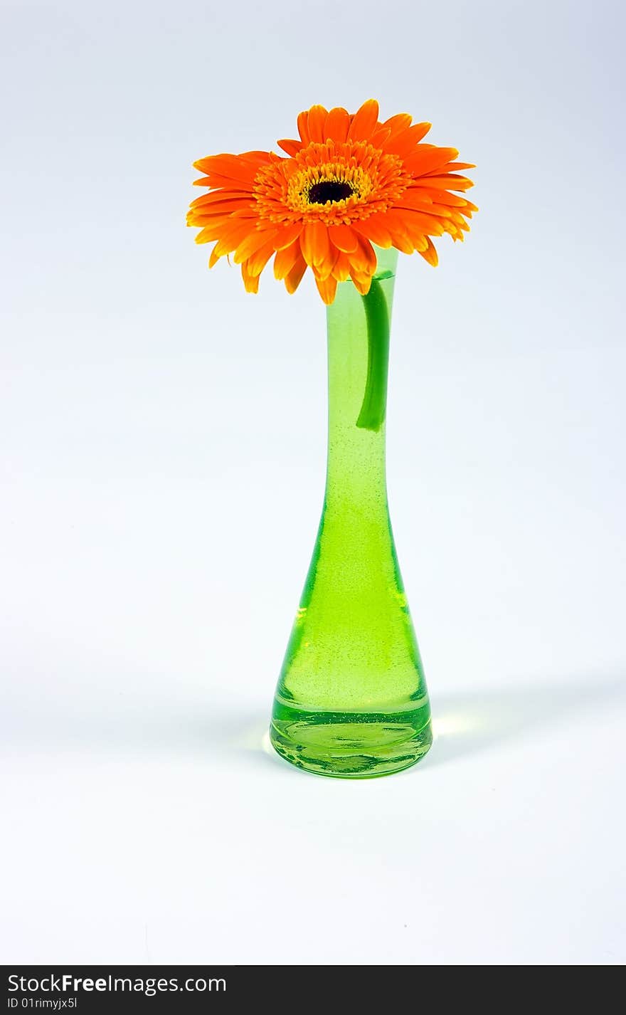 Decorative flower in glass vase isolated on white background. Decorative flower in glass vase isolated on white background