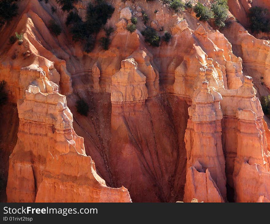 Bryce Canyon Hoodoos