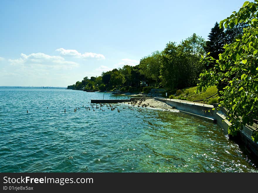 Sunny Shoreline