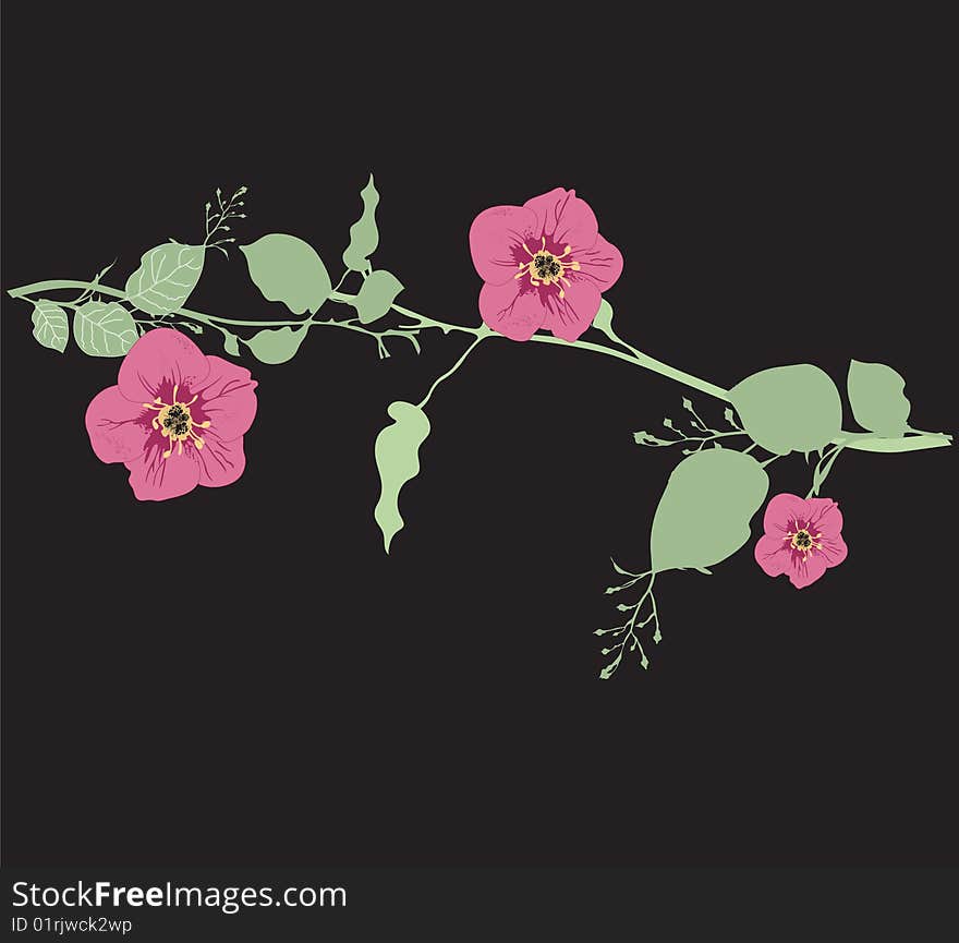 Illustration of a floral background