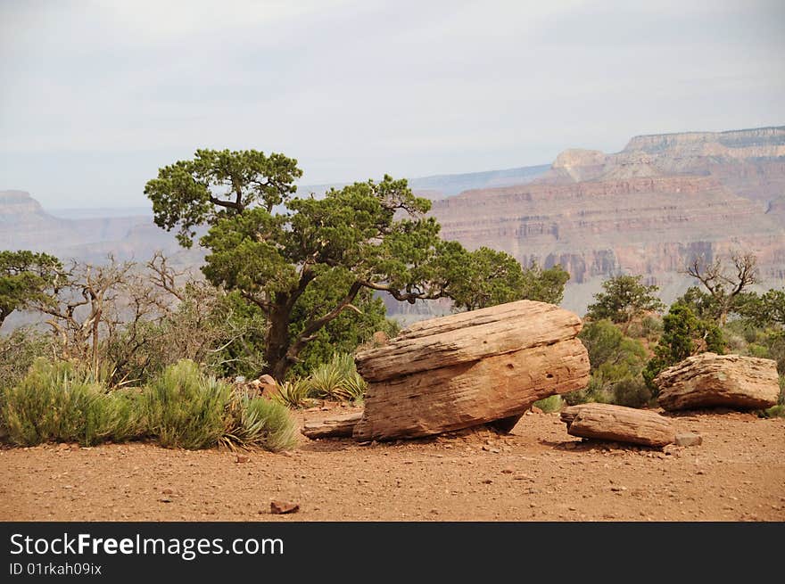 Grand Canyon