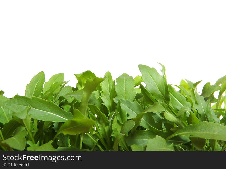 Rucola leaves isolated on white. Rucola leaves isolated on white