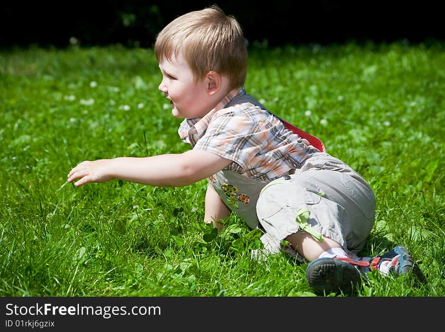 Child creeps on a green grass