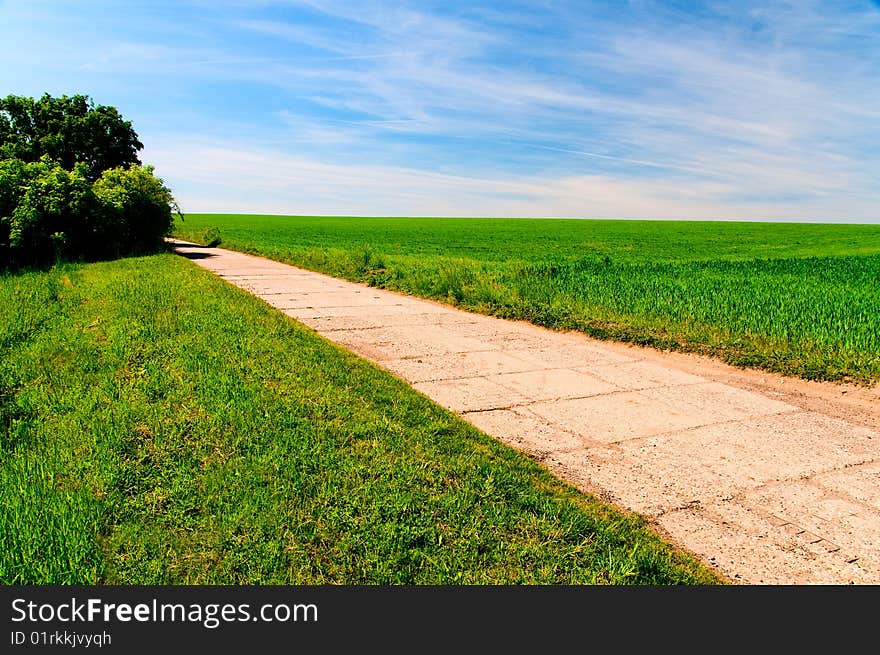 Concrete road going through green field