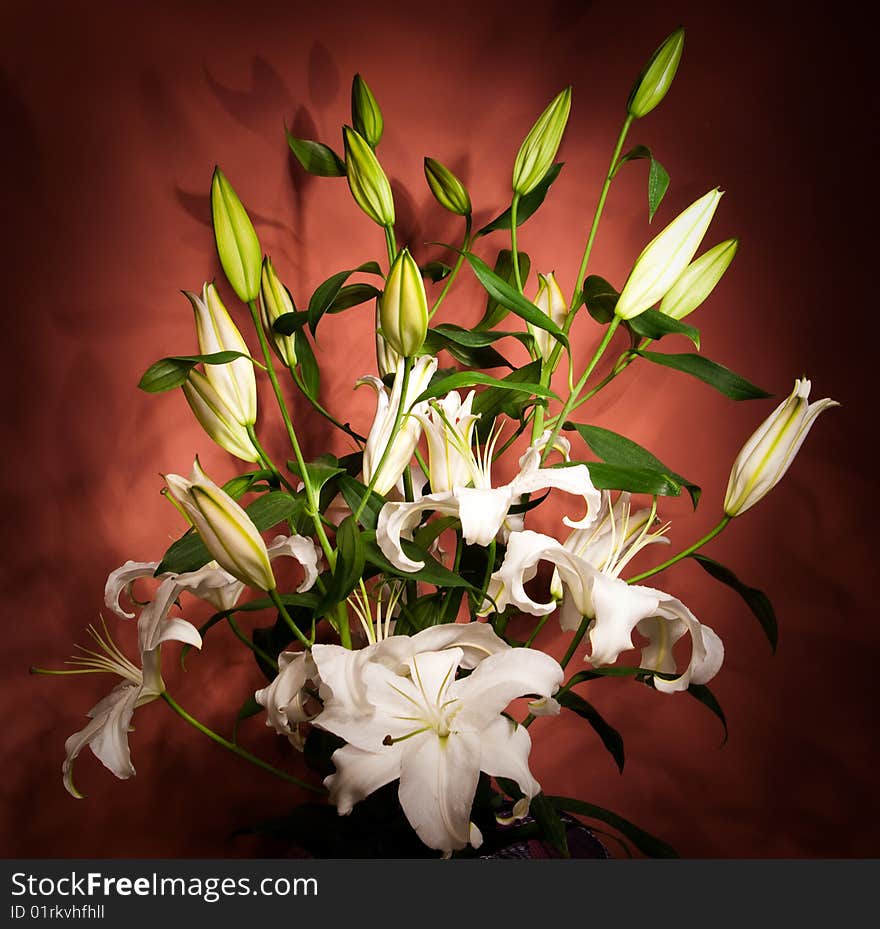 Bouquet of white lilies