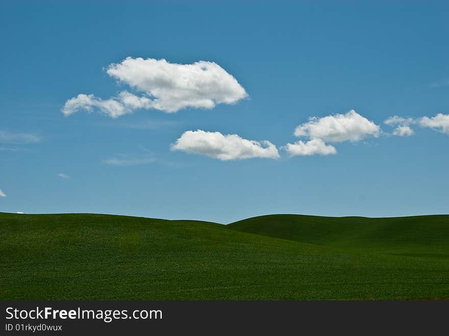 Clouds float above the wheat field in Washington state's Palouse region. Clouds float above the wheat field in Washington state's Palouse region.