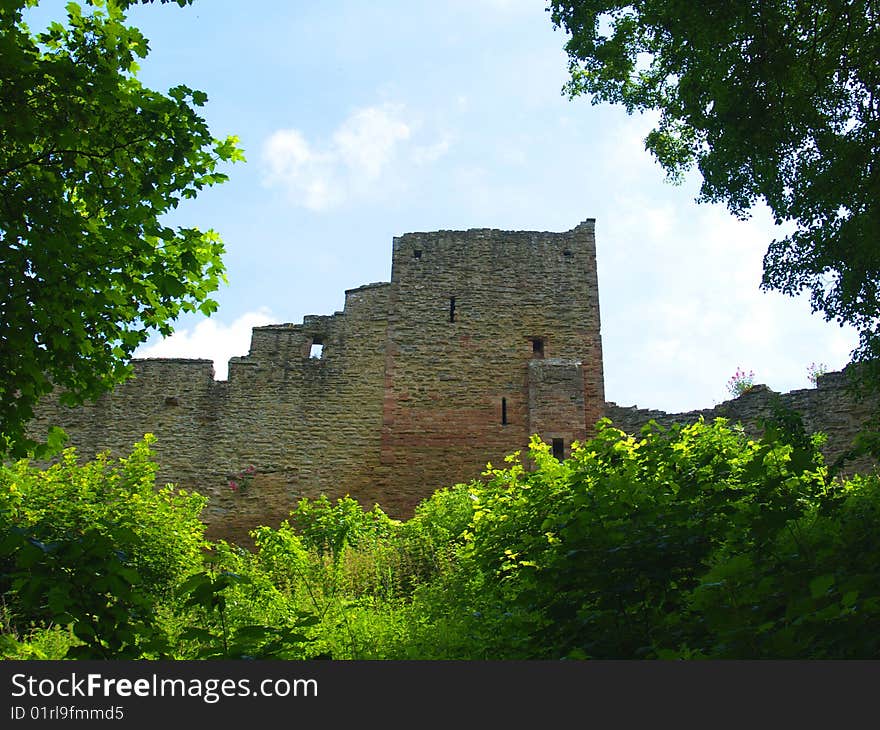 Castle framed by trees