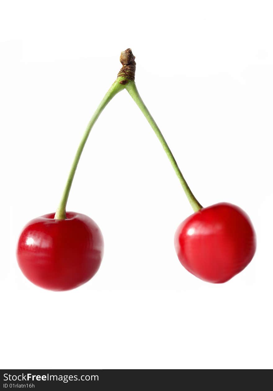 Two fresh picked cherries still attached to their stem. Two fresh picked cherries still attached to their stem