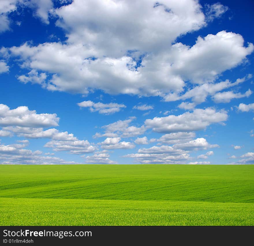 Green grass, the blue sky and white clouds. Green grass, the blue sky and white clouds