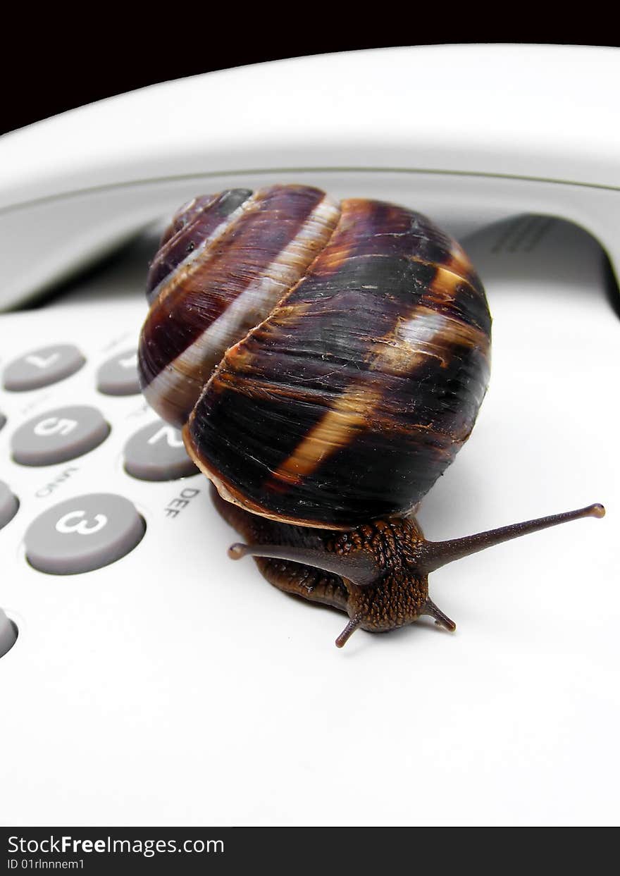 Concept for communications - snail on a phone. Concept for communications - snail on a phone