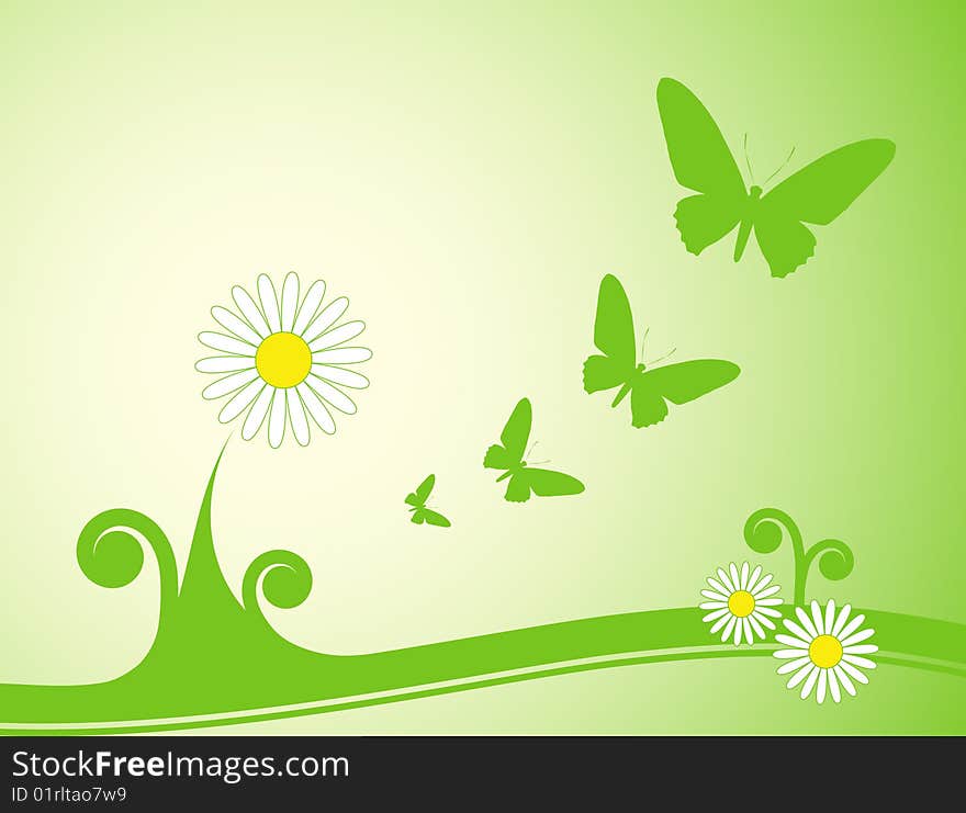 Illustration of daisy and butterflies on green background