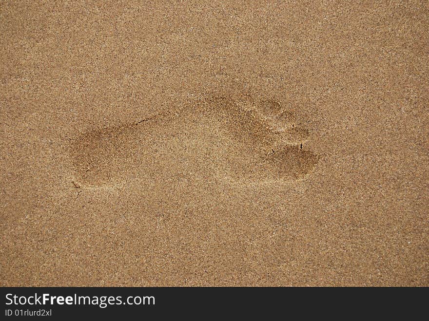 Foot print in the sand