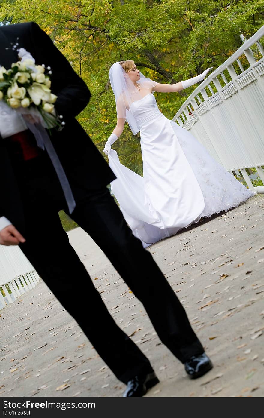 Bride and groom on park bridge. Bride and groom on park bridge