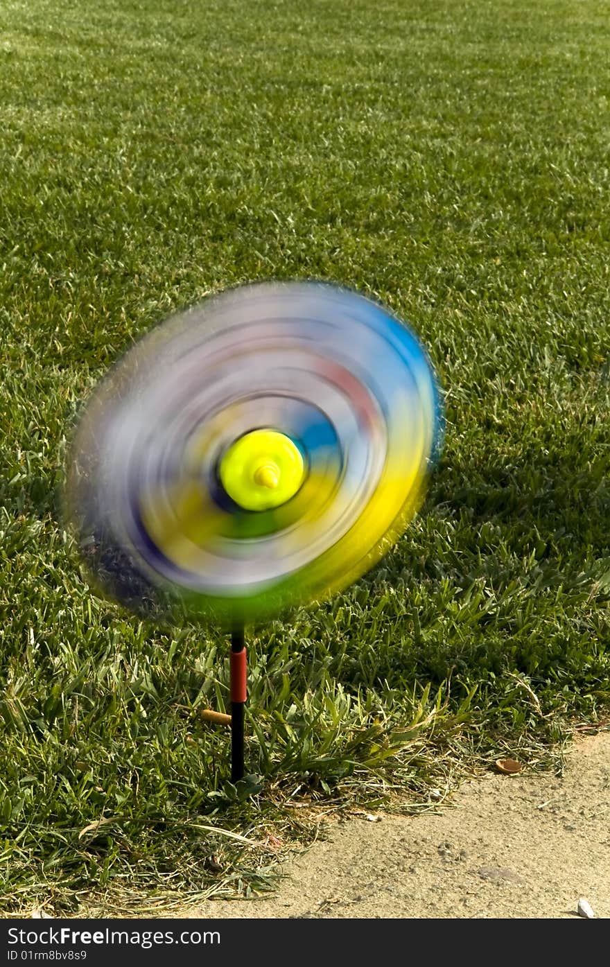 Palermo - A swirl in the lawn