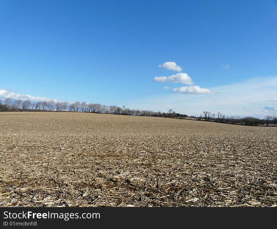 Farmers Field