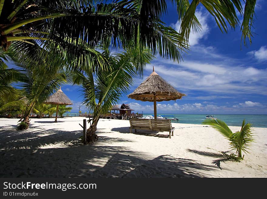 Tropical sandy beach with palm trees