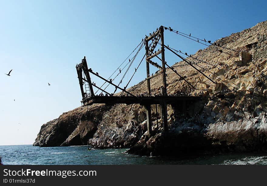 Birds Make Home Of Old Steel Bridge