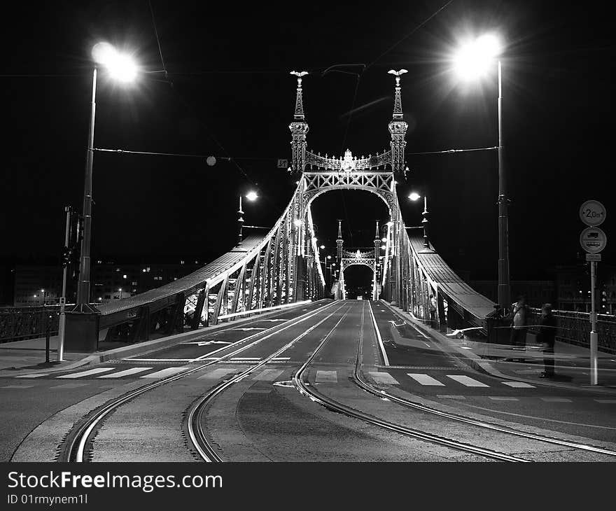 Freedom Bridge Of Budapest