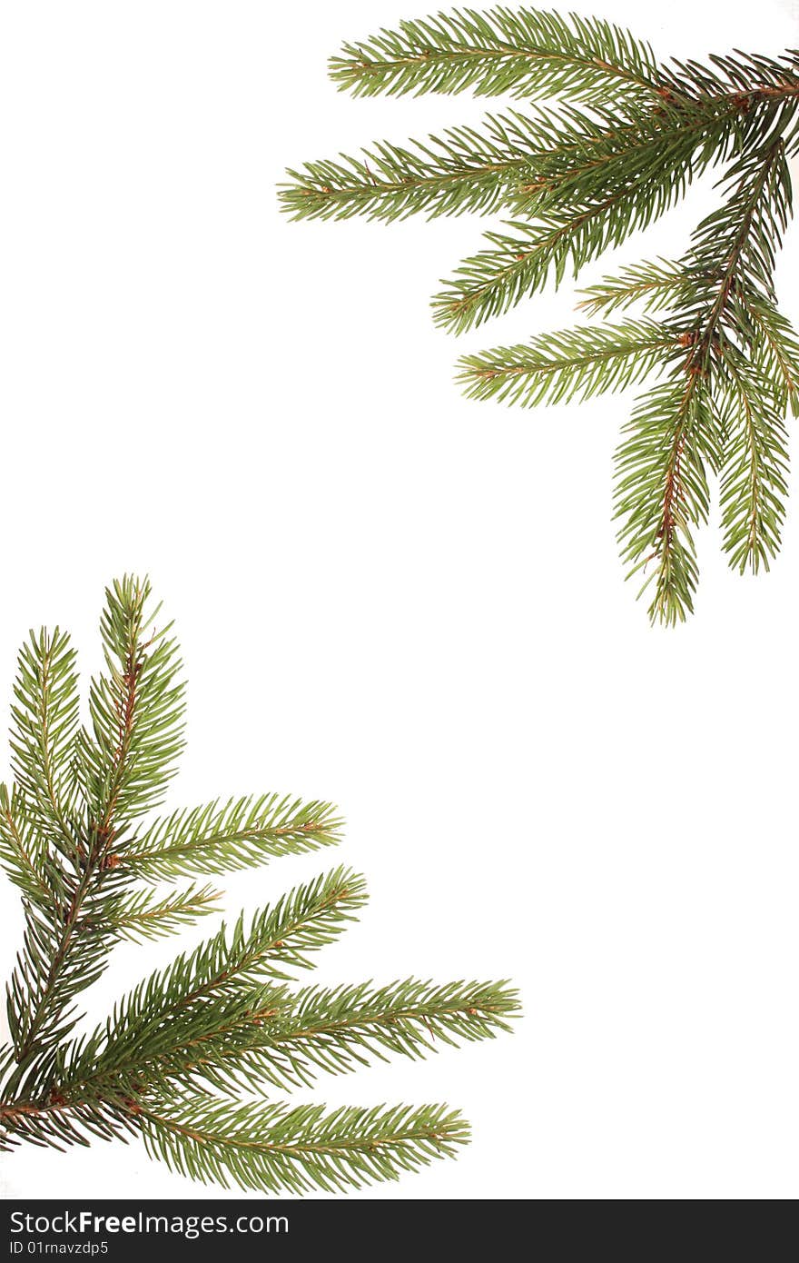 Branches of a Christmas tree decoratef like a frame on a withe isolated background with copy space. Branches of a Christmas tree decoratef like a frame on a withe isolated background with copy space