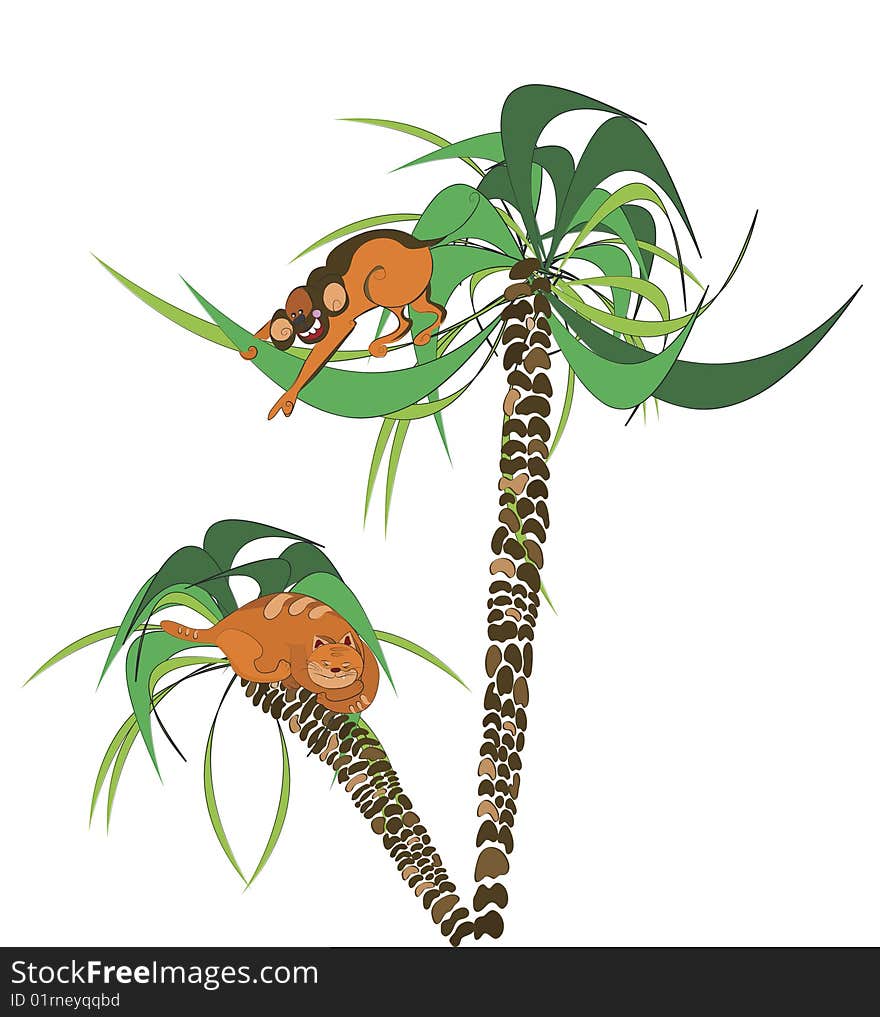 A monkey on palm tree saw cat. A monkey on palm tree saw cat