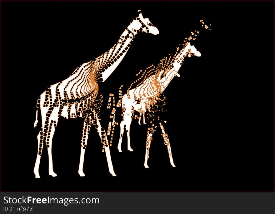 Giraffes on black background create a beautiful abstraction. Giraffes on black background create a beautiful abstraction