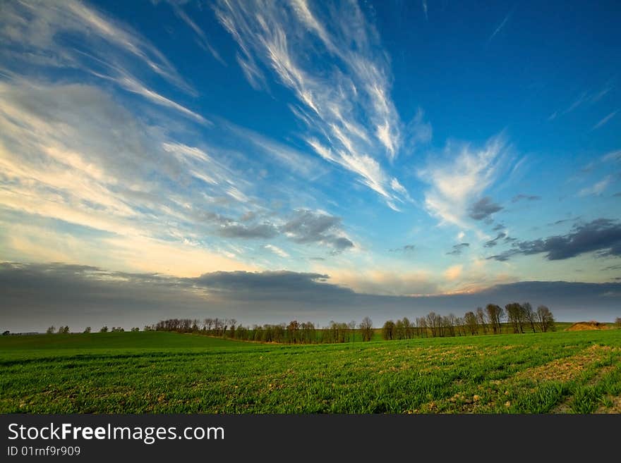 Sunset over green crops