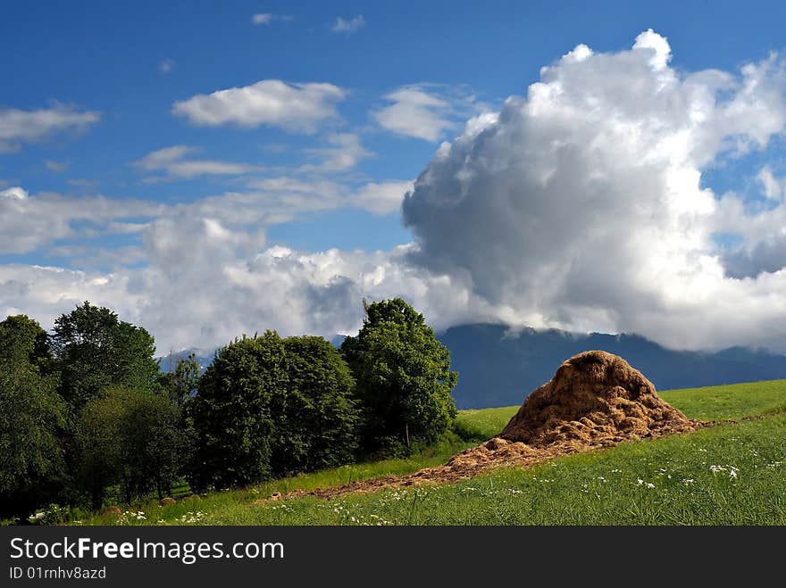 Haystack