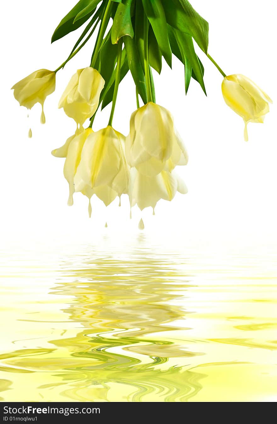 Bouquet of yellow tulips reflected in water. Bouquet of yellow tulips reflected in water