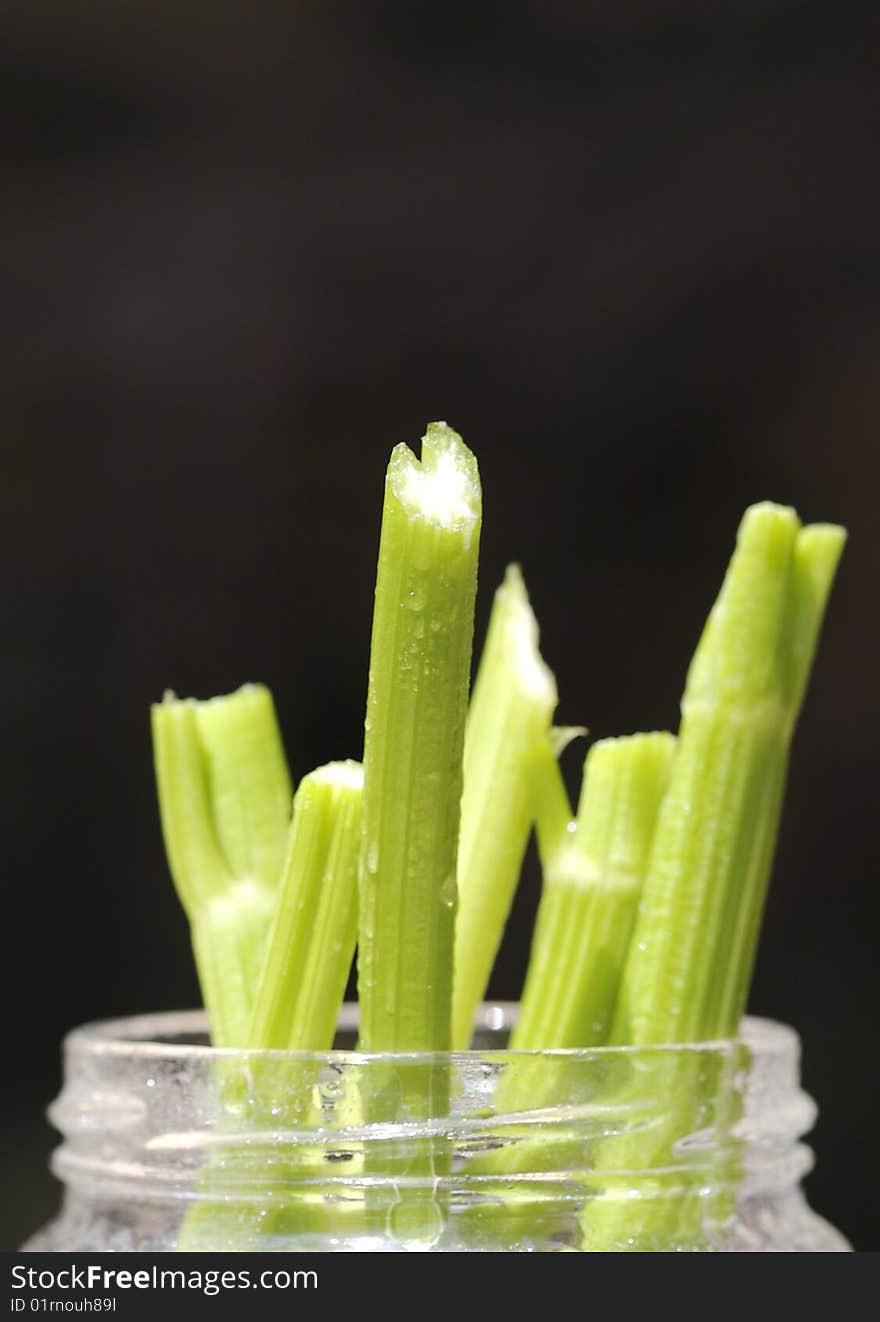 Celery slices