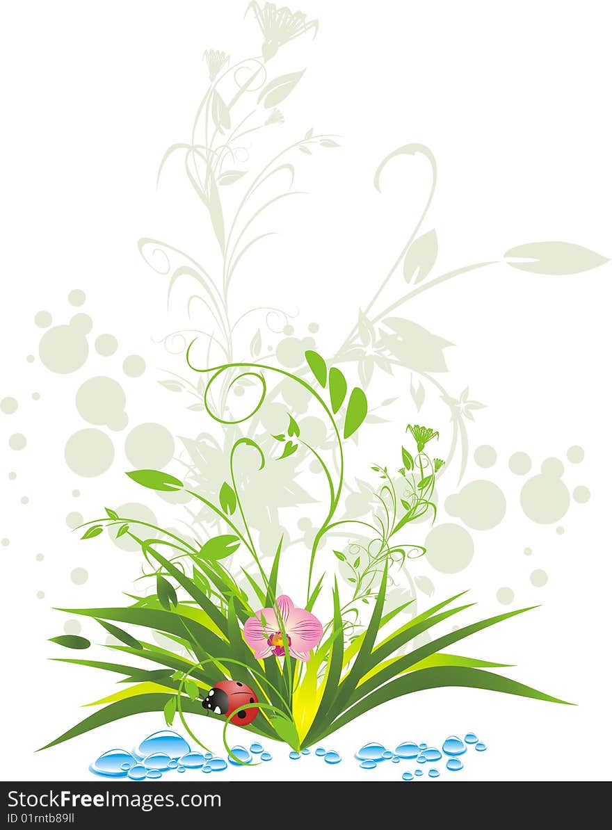 Grass, water and ladybird. Vector illustration