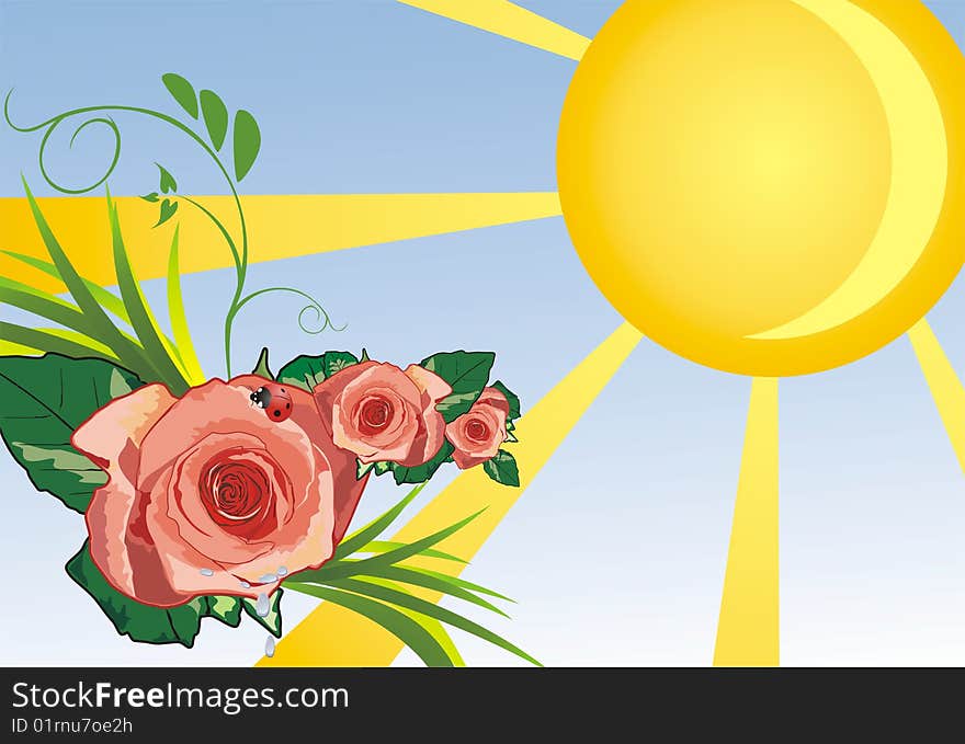 Grass, roses and ladybird. Summer background. Vector illustration