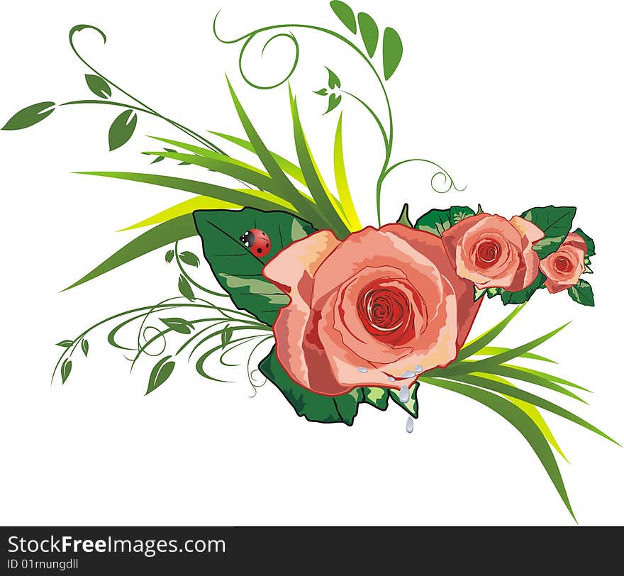 Roses, grass and ladybird. Vector illustration