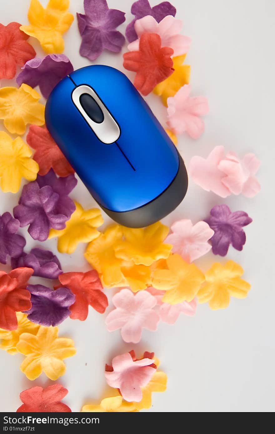 Blue Computer Mouse On The Flowers Field