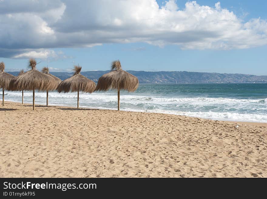 Natural umbrellas on beach