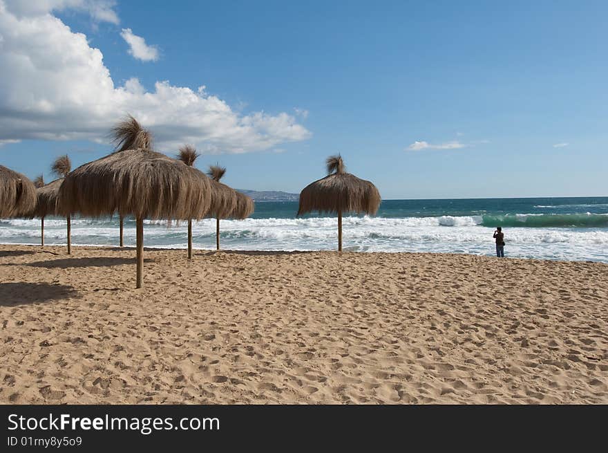 Natural umbrellas on beach