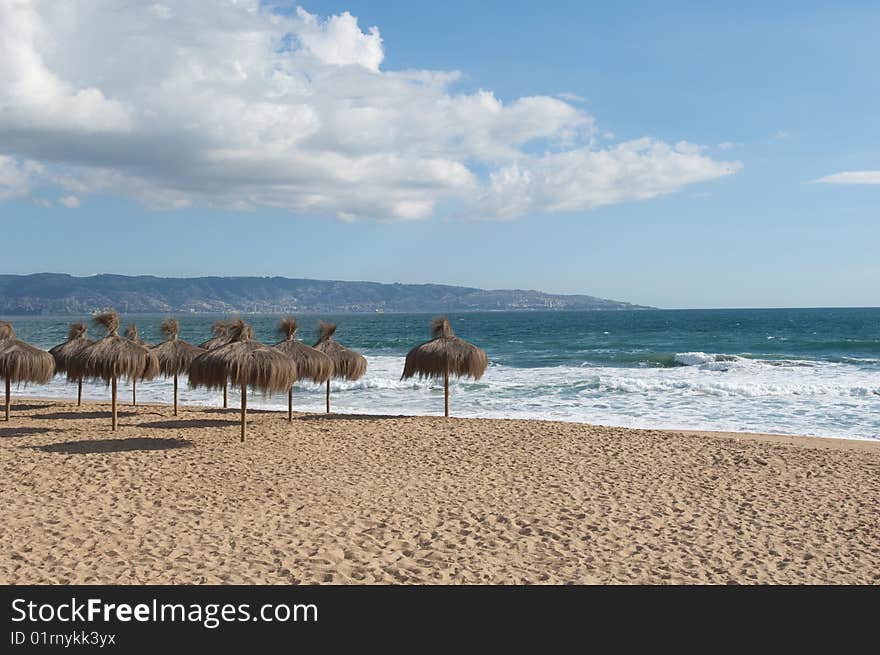 Natural umbrellas on beach