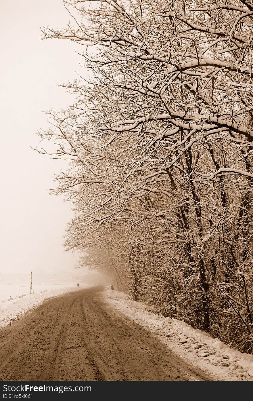 Driveway with tree and snow