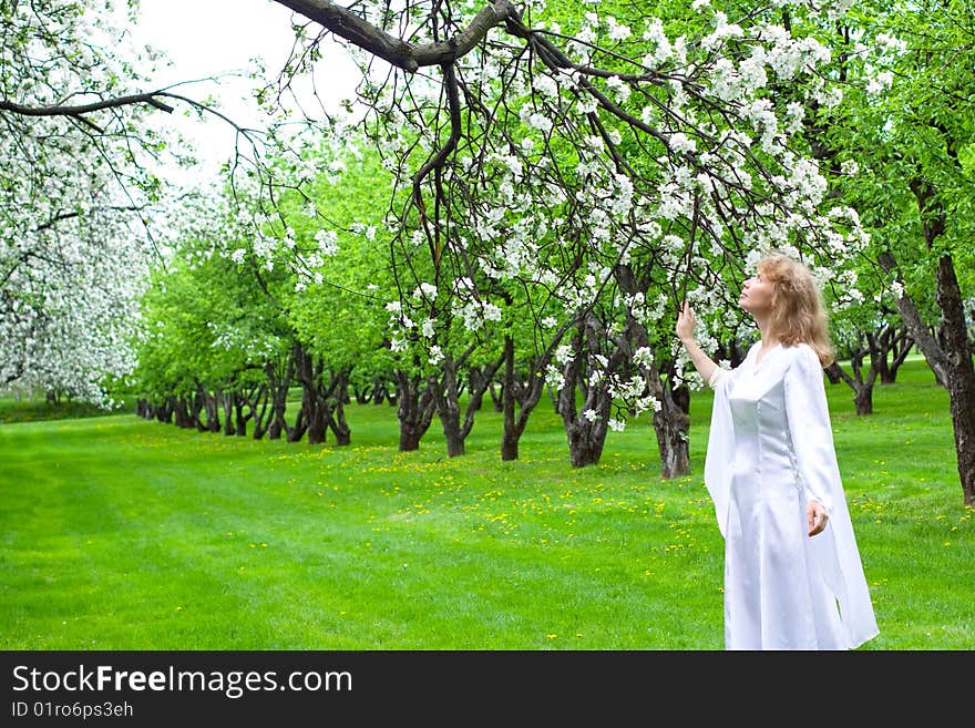 Tne blonde girl in white dress and apple-tree with white flowers. Tne blonde girl in white dress and apple-tree with white flowers